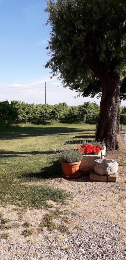 Agriturismo Vitae Fabbrico Eksteriør billede