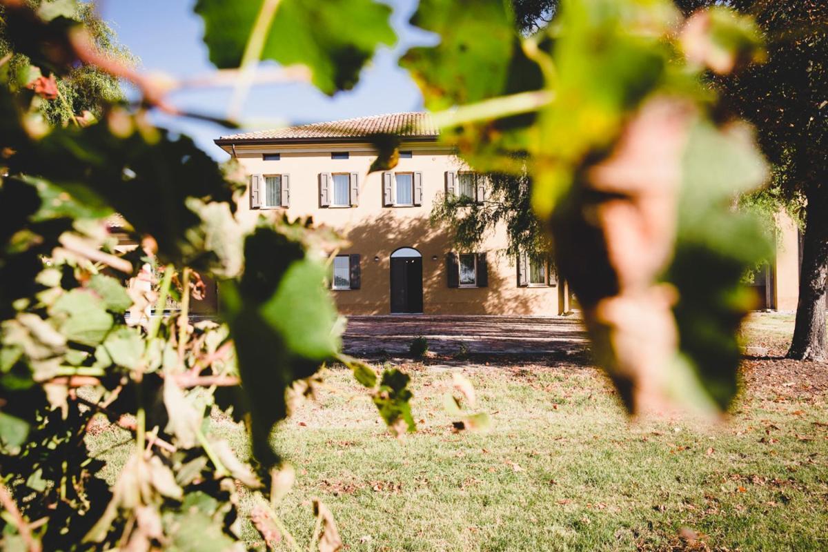 Agriturismo Vitae Fabbrico Eksteriør billede