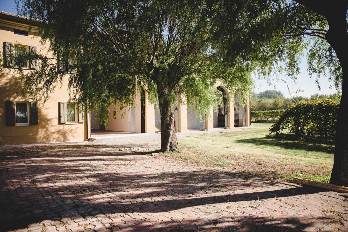 Agriturismo Vitae Fabbrico Eksteriør billede
