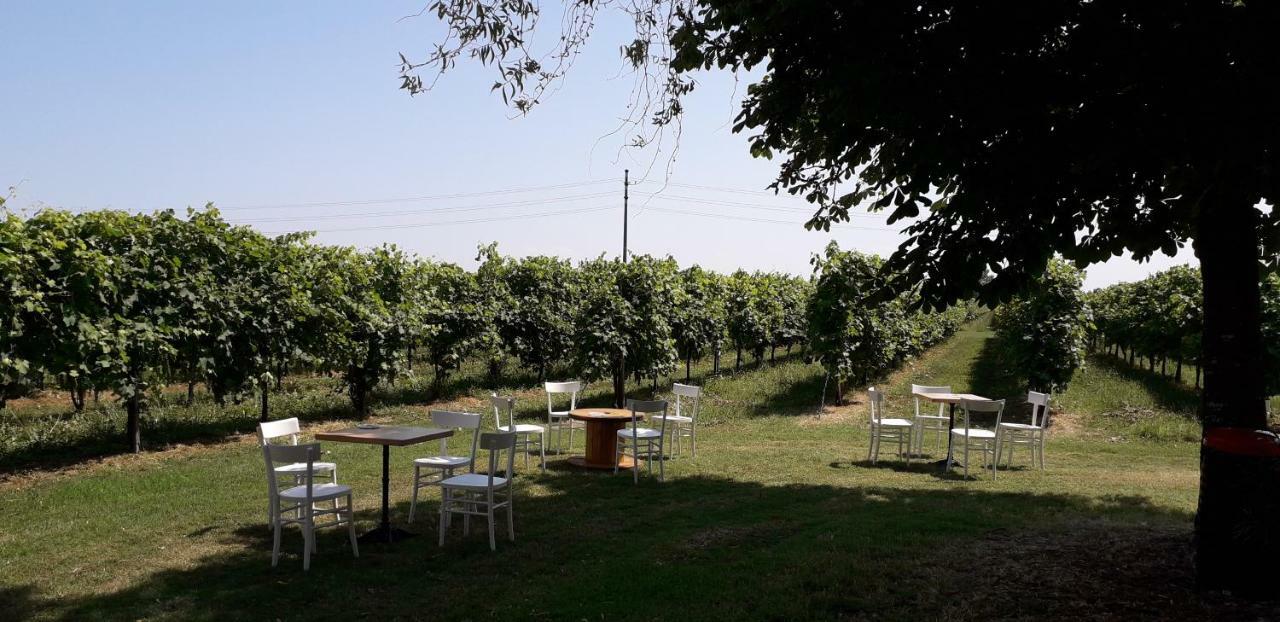 Agriturismo Vitae Fabbrico Eksteriør billede
