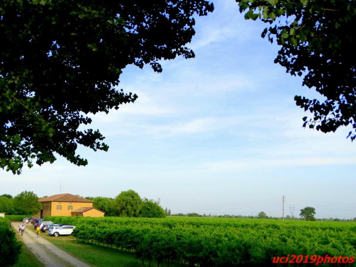Agriturismo Vitae Fabbrico Eksteriør billede